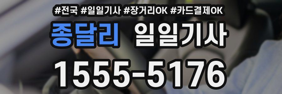 종달리 일일기사