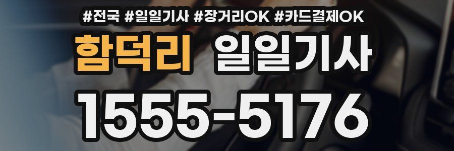 함덕리 일일기사