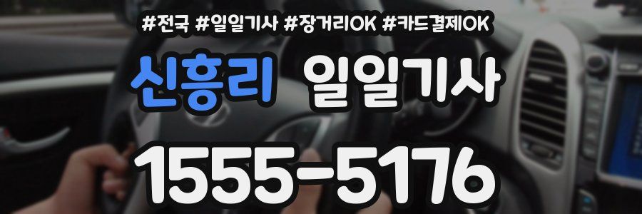 신흥리 일일기사