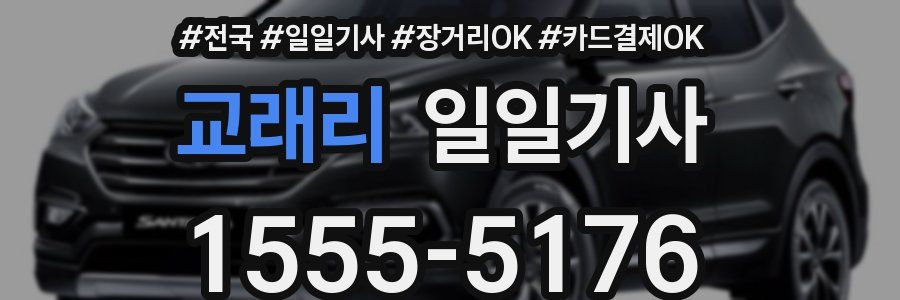 교래리 일일기사