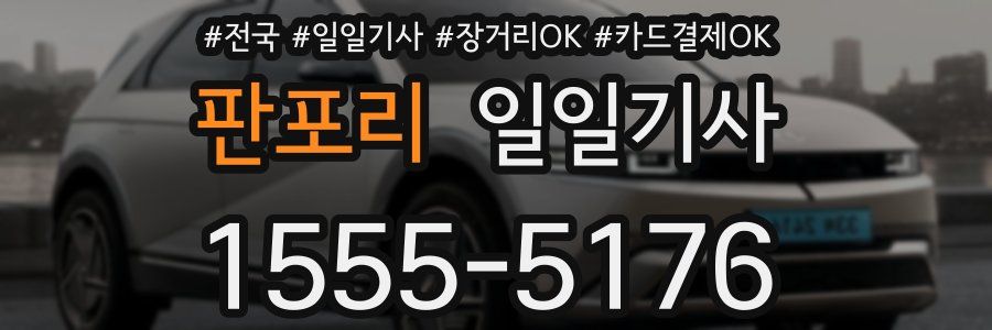 판포리 일일기사