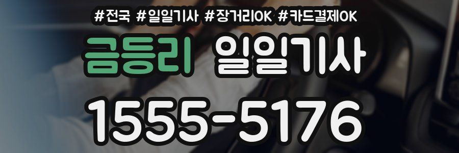 금등리 일일기사