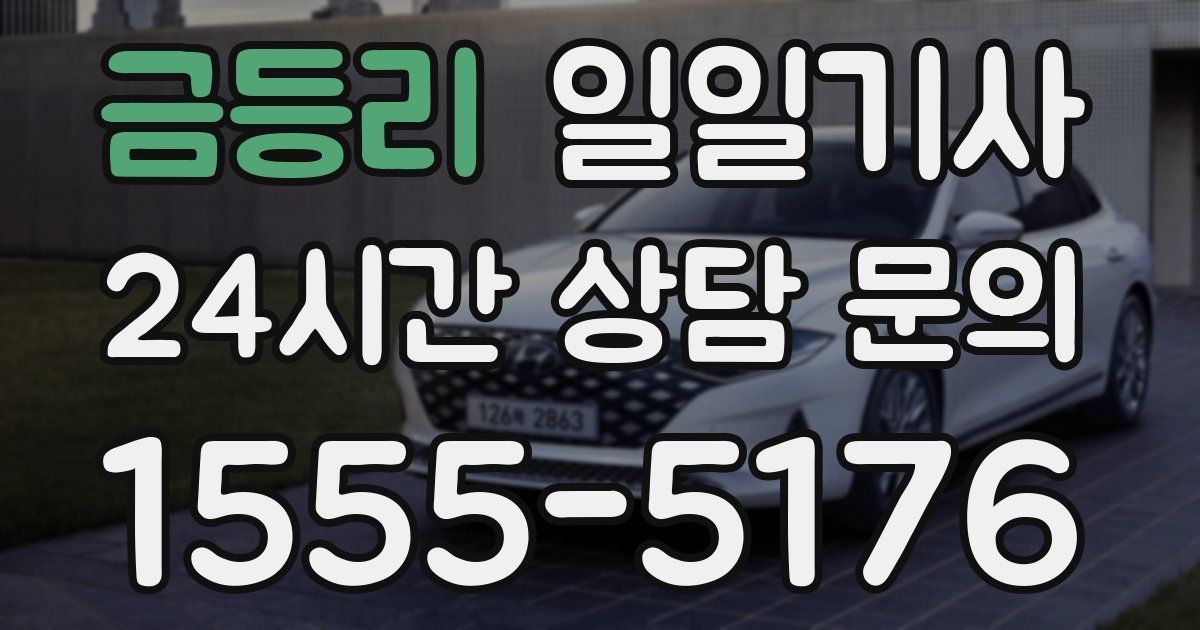 일일대리기사