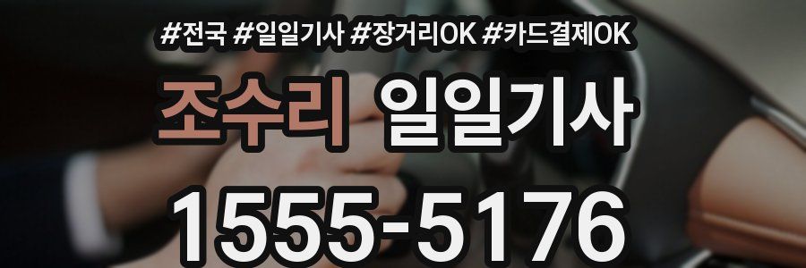 조수리 일일기사