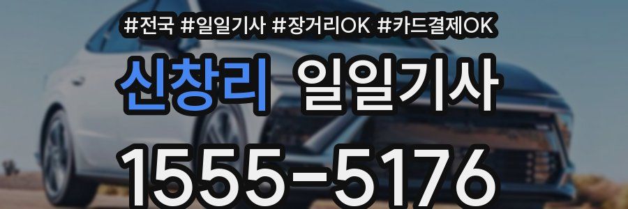 신창리 일일기사