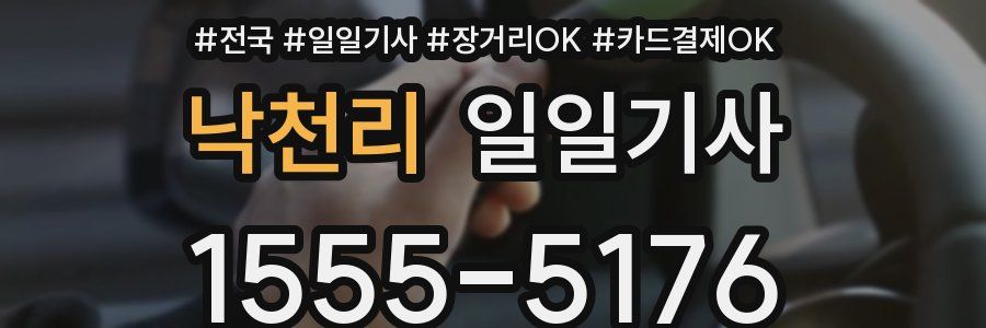 낙천리 일일기사