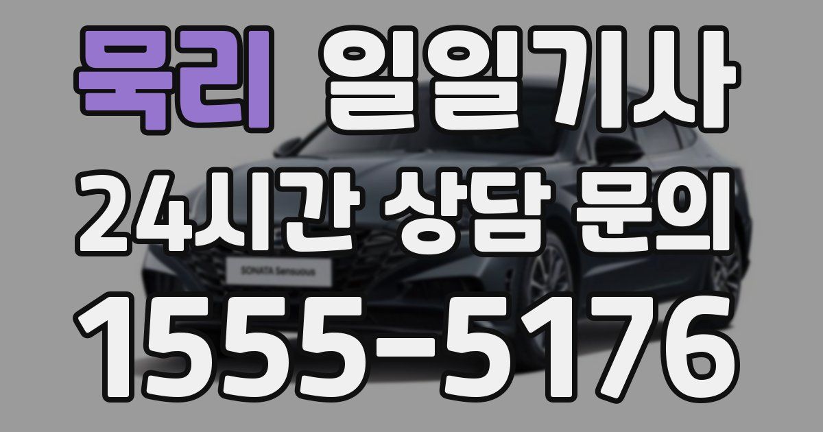 일일대리기사