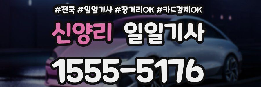 신양리 일일기사