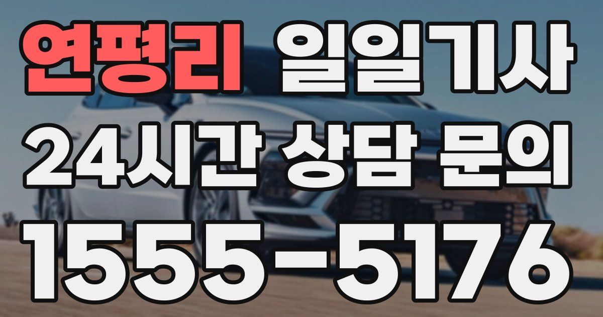 일일대리기사