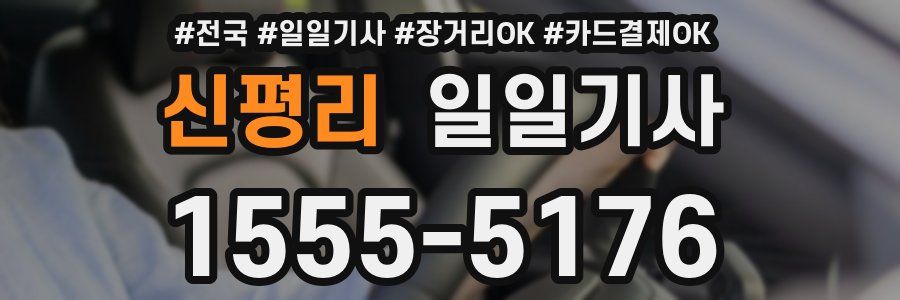 신평리 일일기사