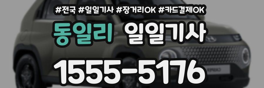 동일리 일일기사