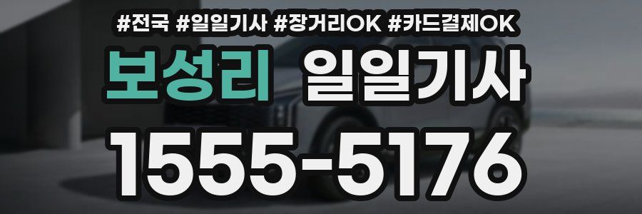 보성리 일일기사