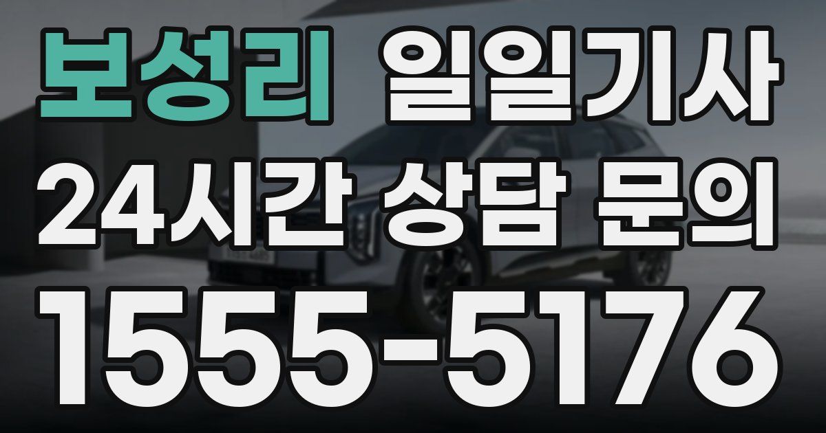 일일대리기사