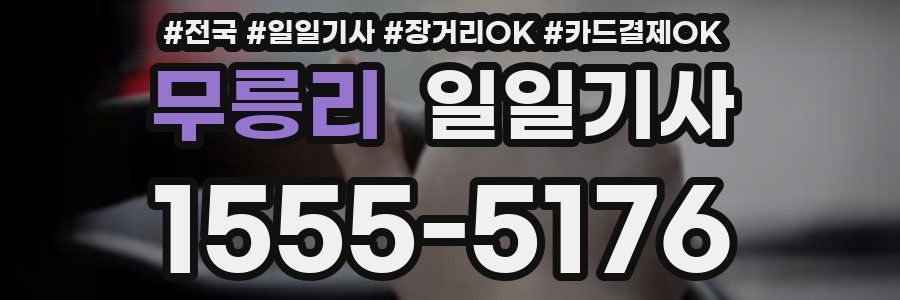 무릉리 일일기사