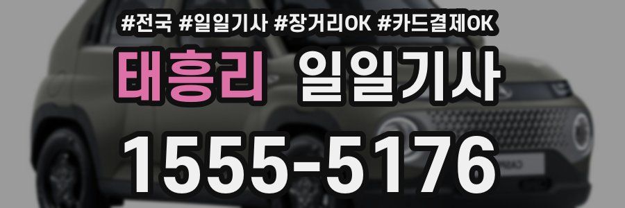 태흥리 일일기사