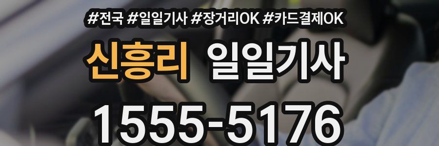 신흥리 일일기사