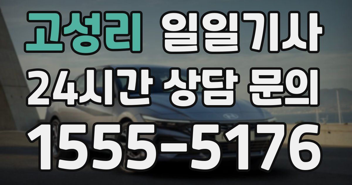 일일대리기사