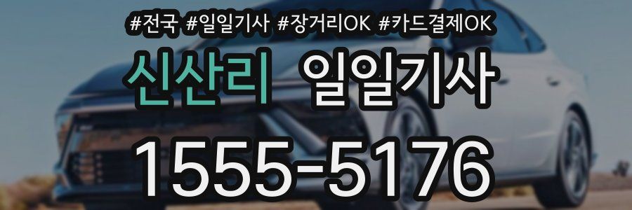 신산리 일일기사