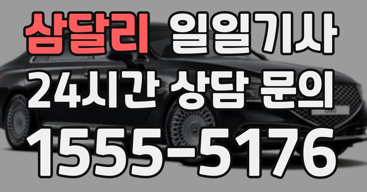 일일대리기사