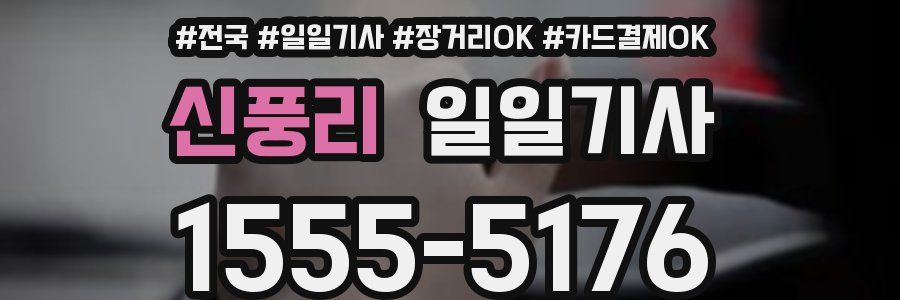 신풍리 일일기사