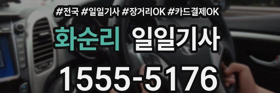 화순리 일일기사