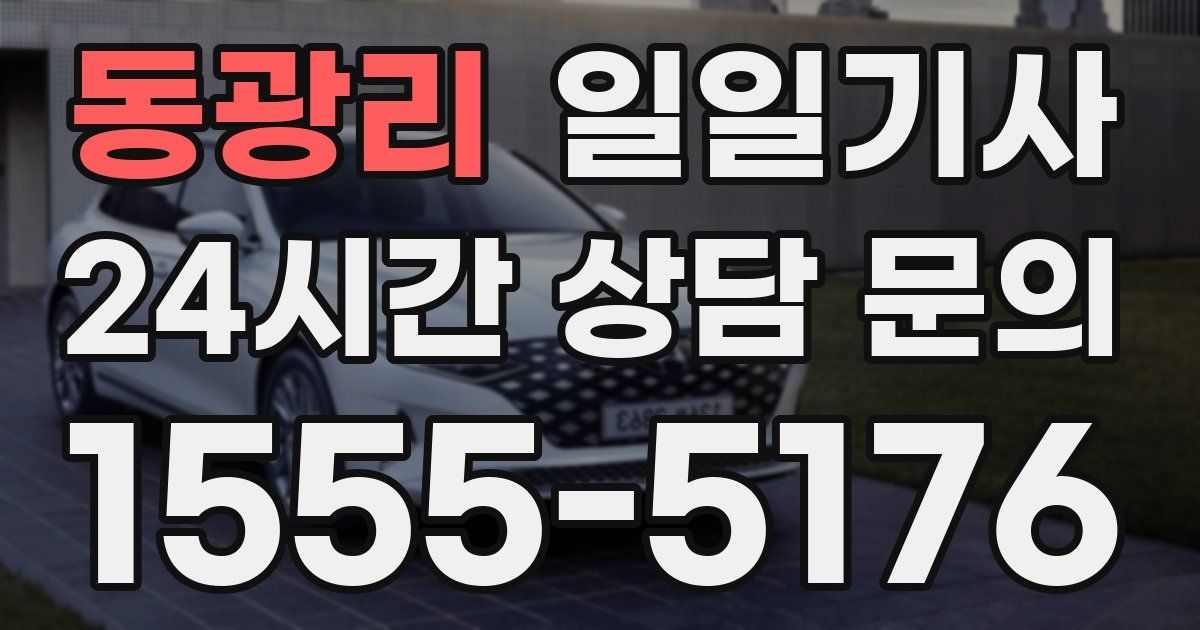 일일대리기사