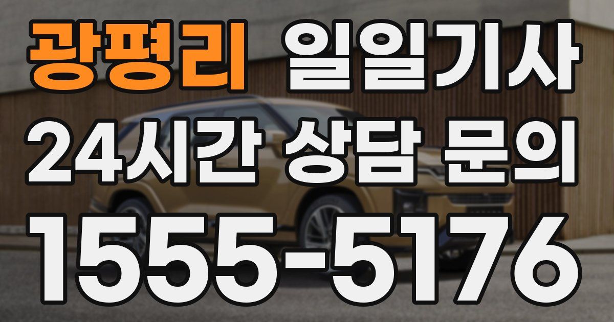 일일대리기사
