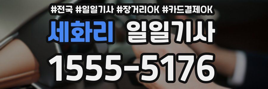 세화리 일일기사