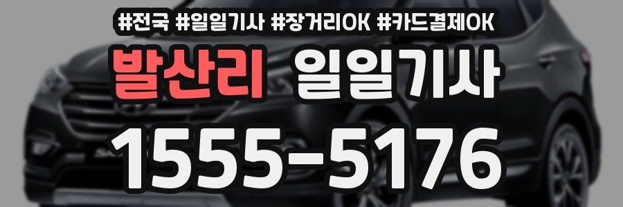 발산리 일일기사