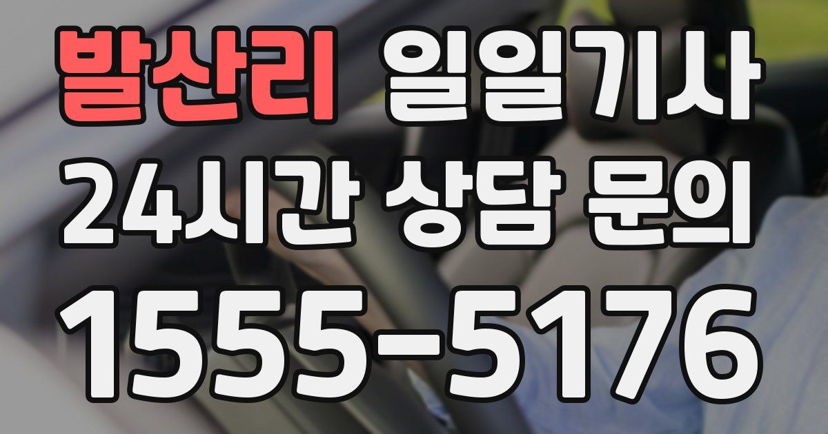 일일대리기사