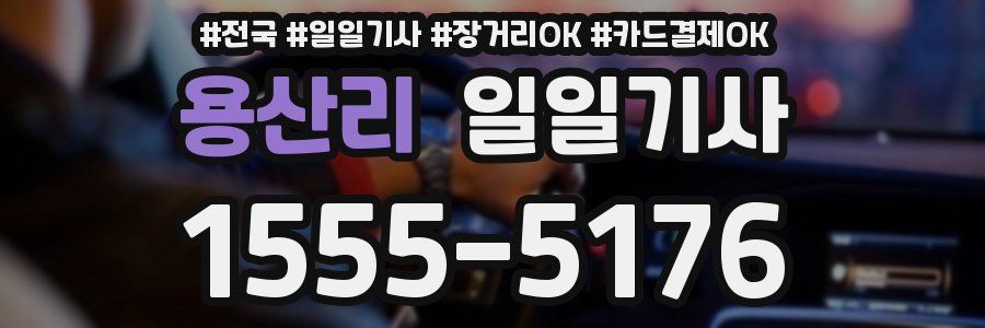 용산리 일일기사