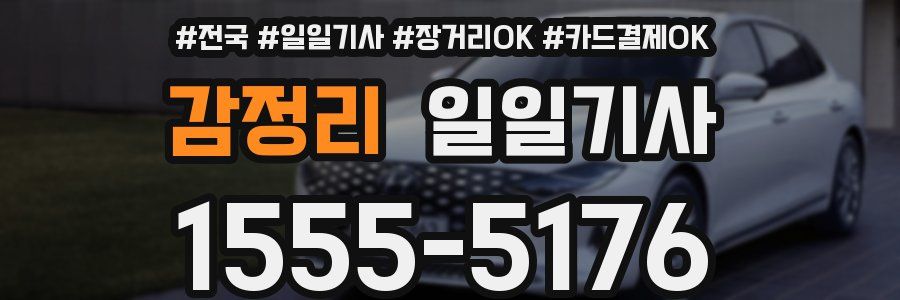 감정리 일일기사