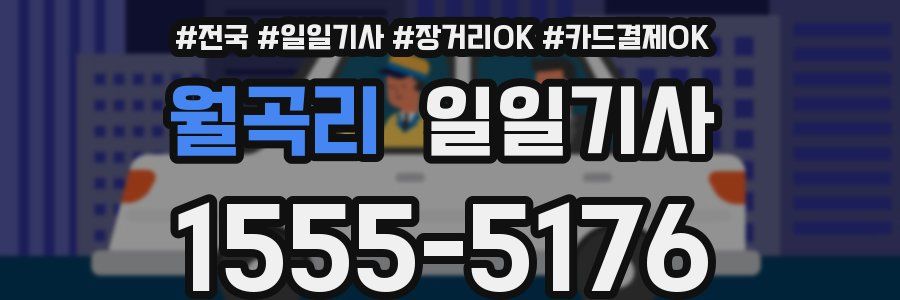 월곡리 일일기사