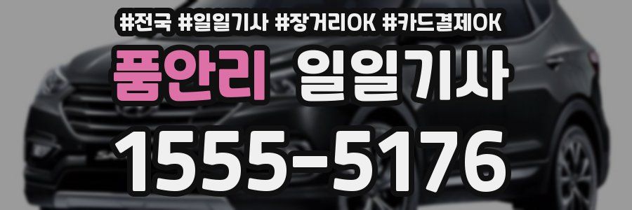품안리 일일기사