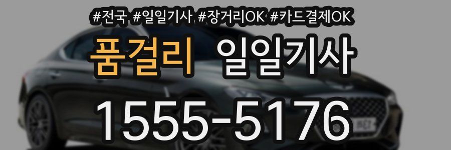 품걸리 일일기사