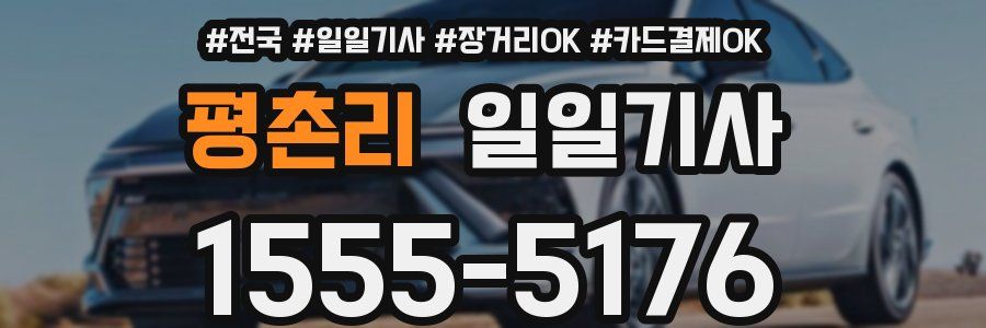 평촌리 일일기사