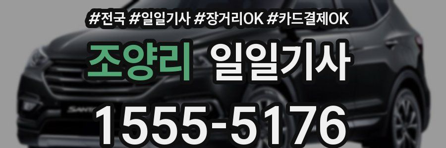 조양리 일일기사