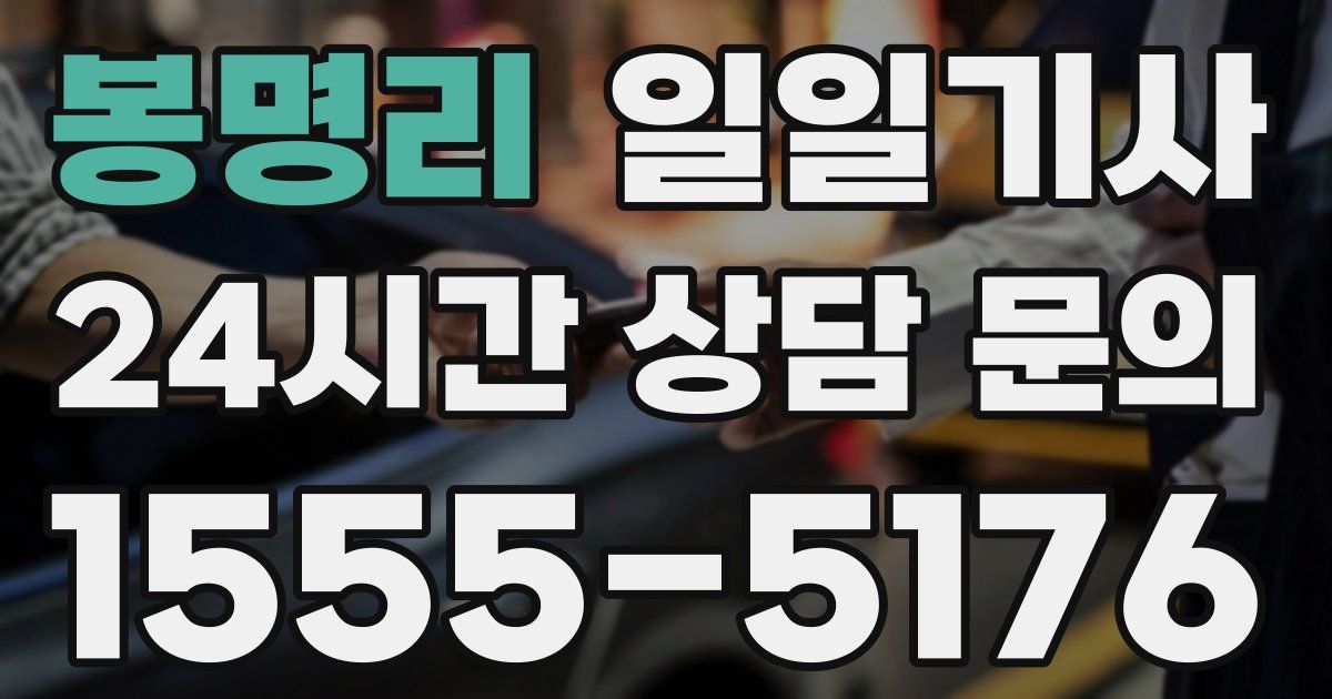 일일대리기사