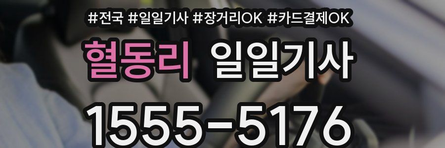 혈동리 일일기사