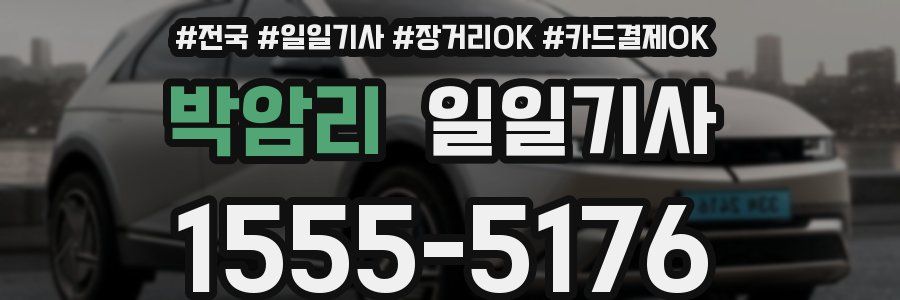 박암리 일일기사