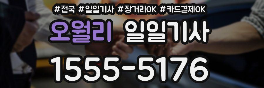 오월리 일일기사