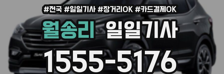 월송리 일일기사