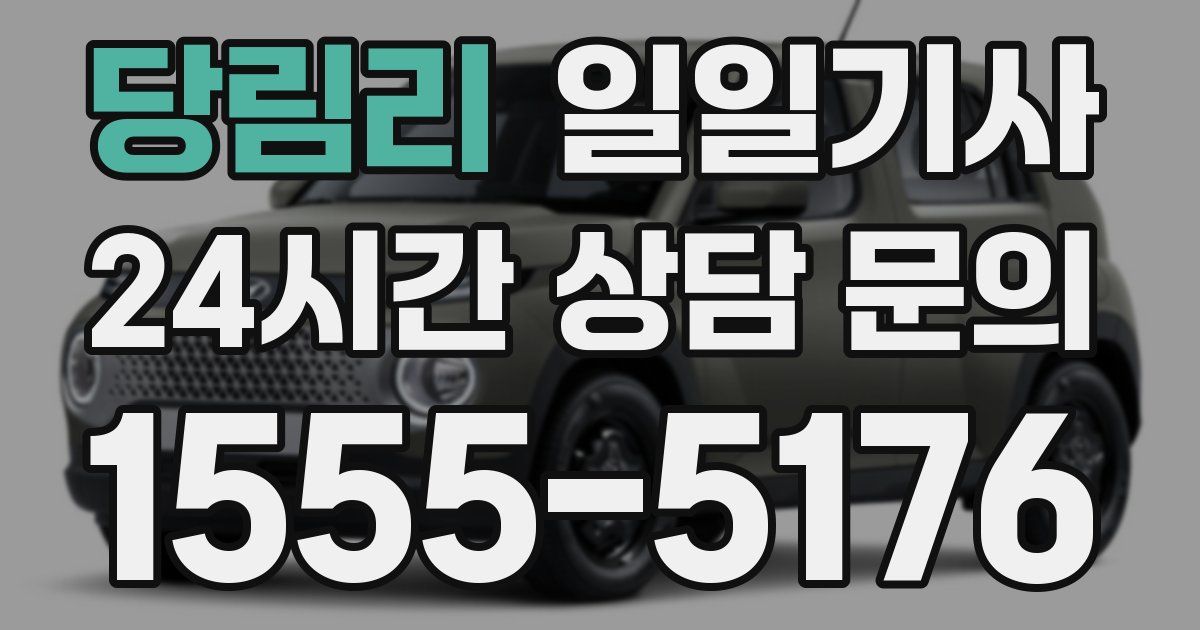 일일대리기사