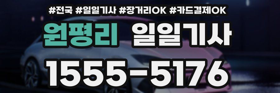 원평리 일일기사