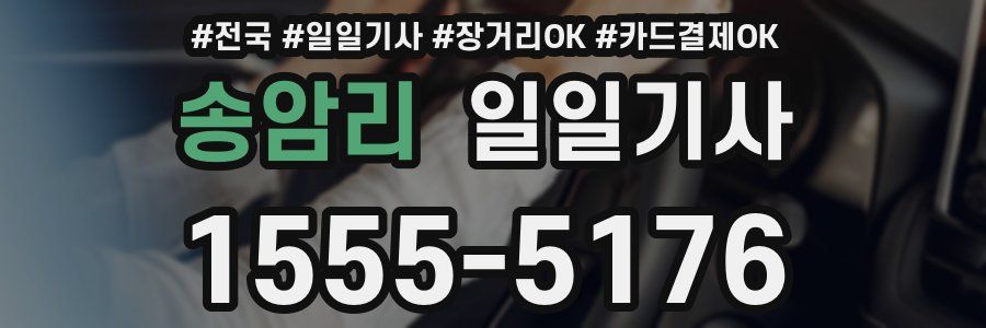 송암리 일일기사