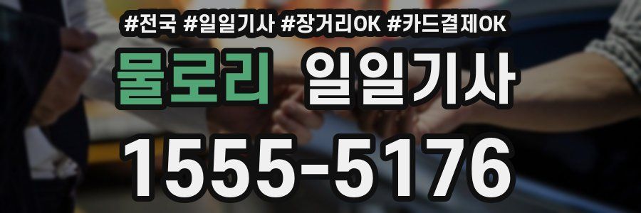 물로리 일일기사