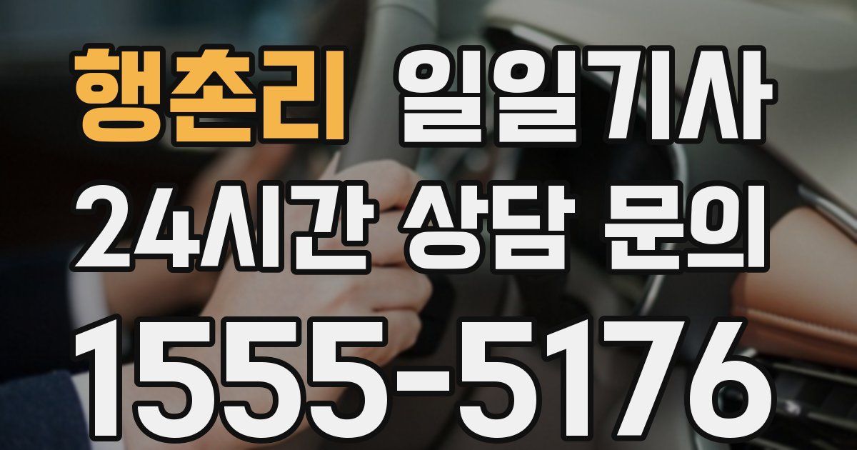 일일대리기사