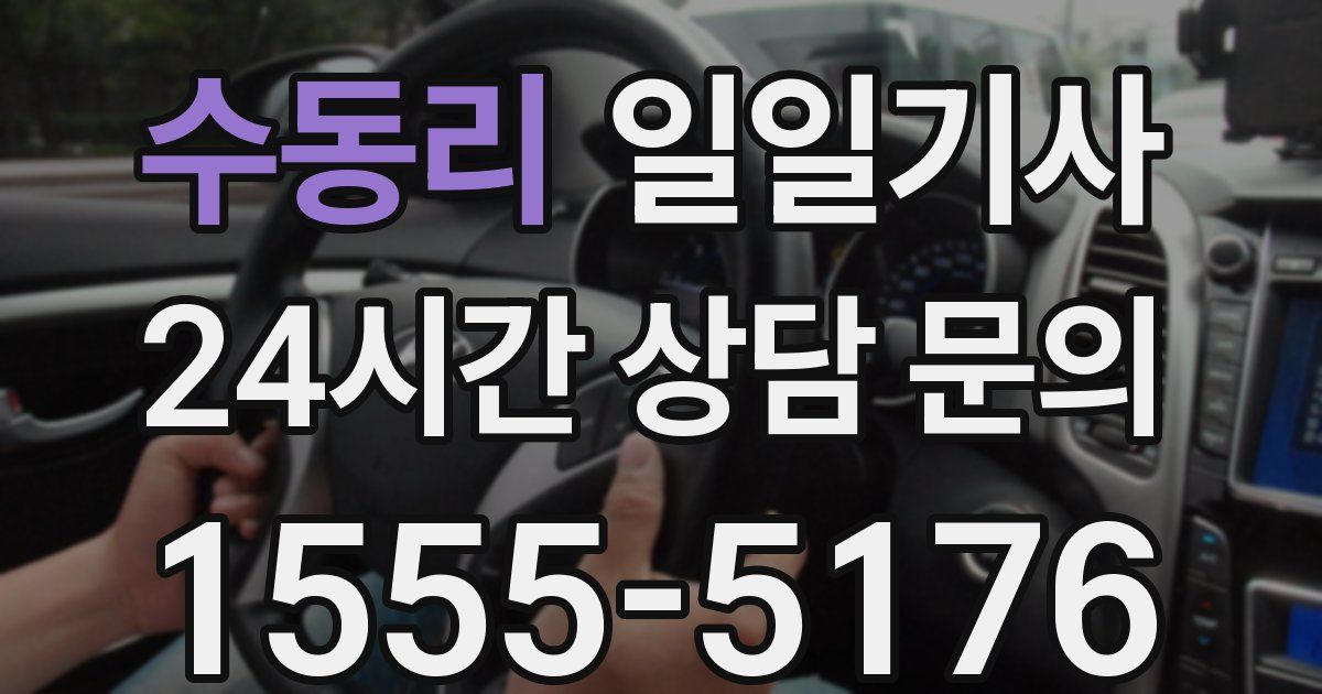 일일대리기사