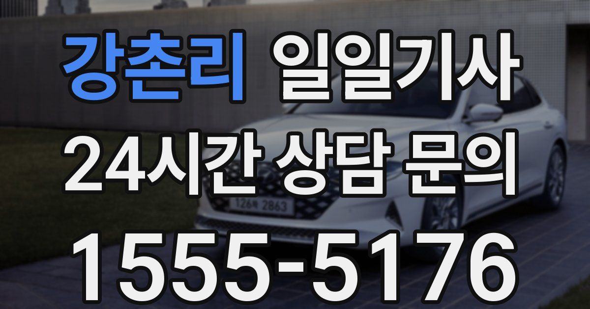 일일대리기사