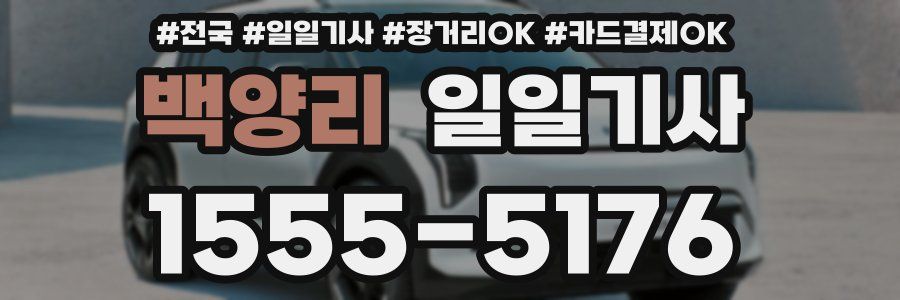 백양리 일일기사